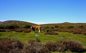 Hotel Castrum Villae By Walk Hotels